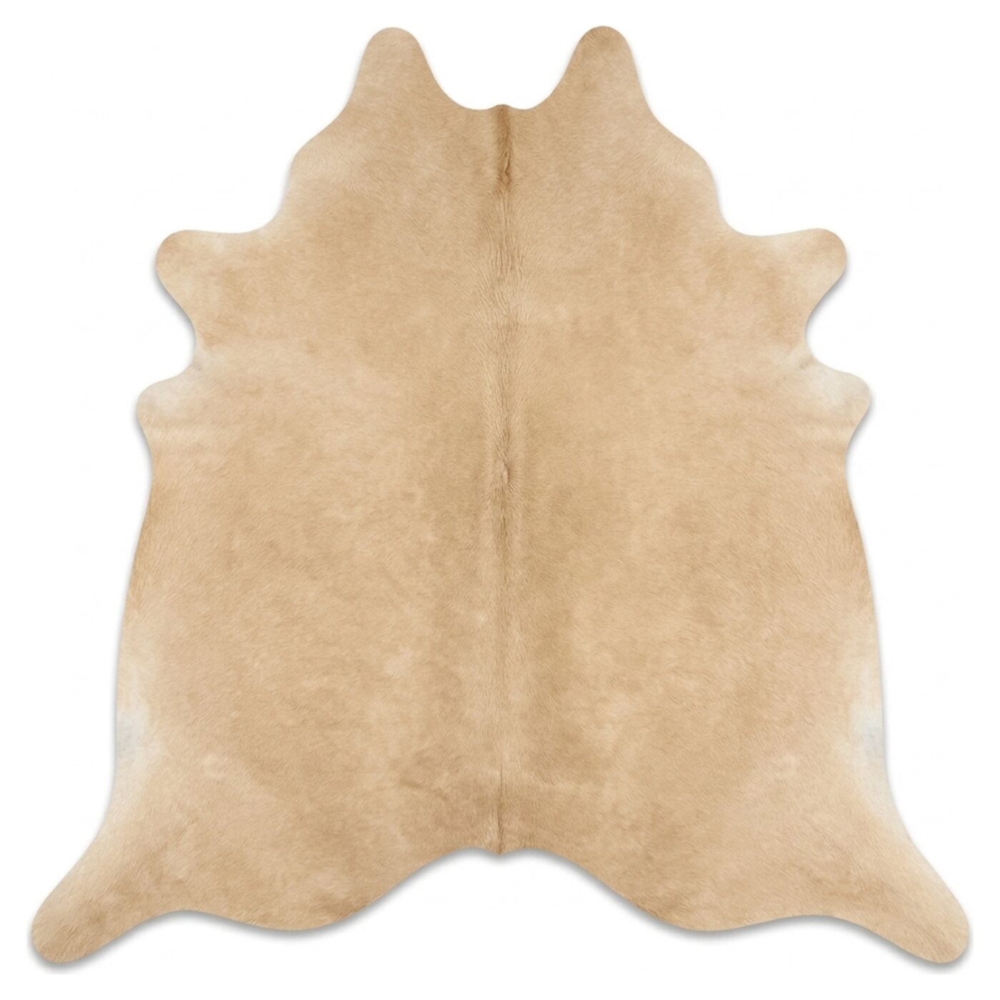Beige vue de dessus