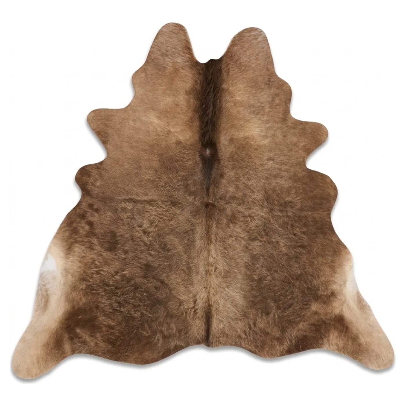 Taupe foncé vue de dessus