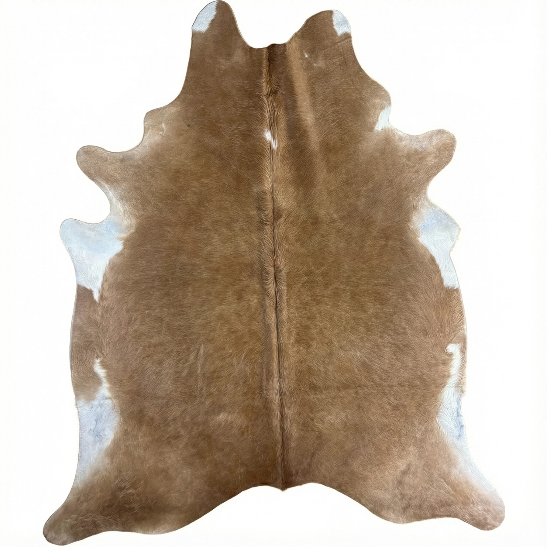 Tapis en peau de vache 249x211 cm - vue de dessus