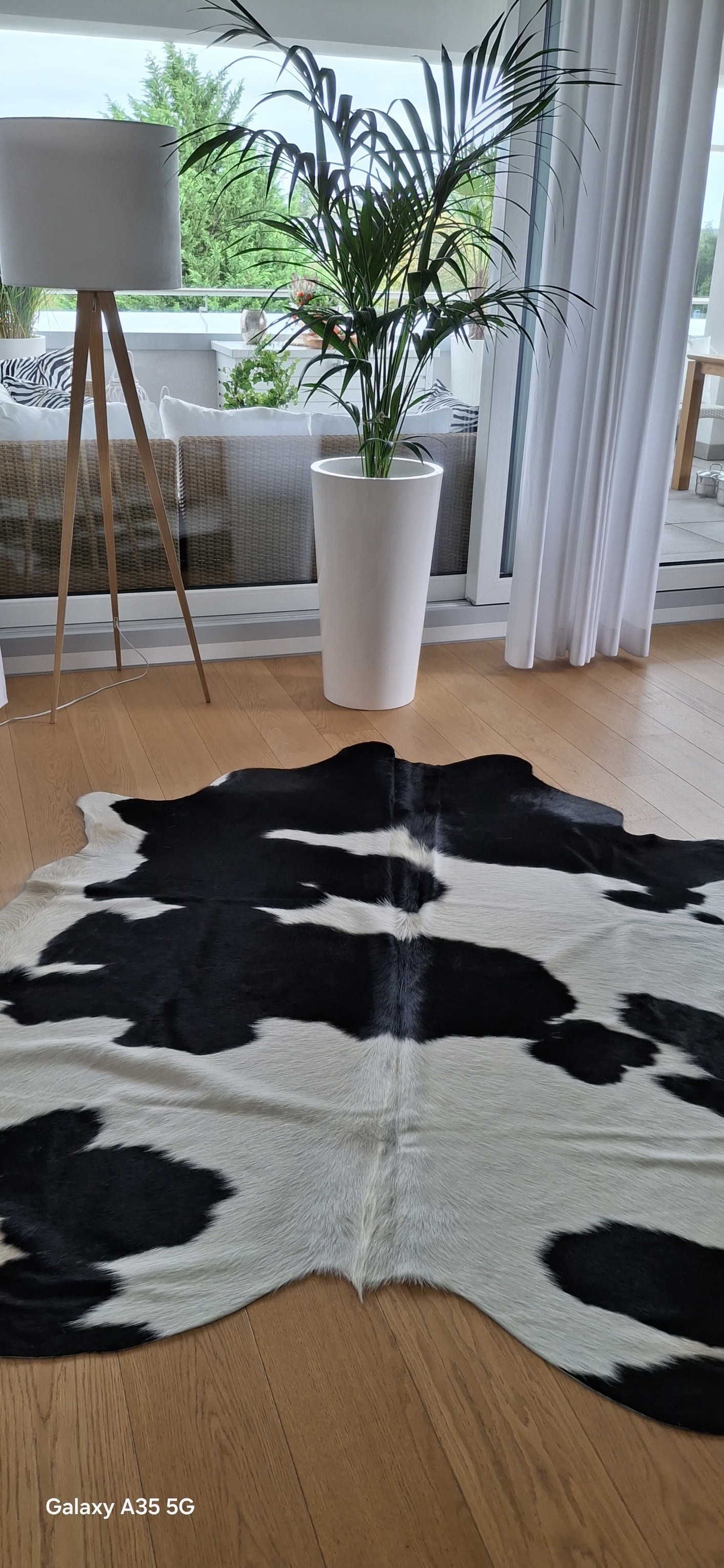 Peau de vache noire et blanche sur un parquet clair dans une pièce lumineuse.