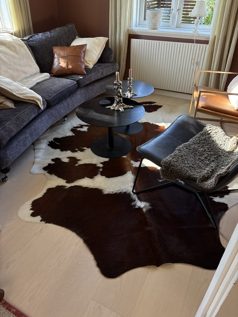 Peau de vache marron et blanche entre un canapé foncé et des fauteuils, autour de deux tables basses noires.