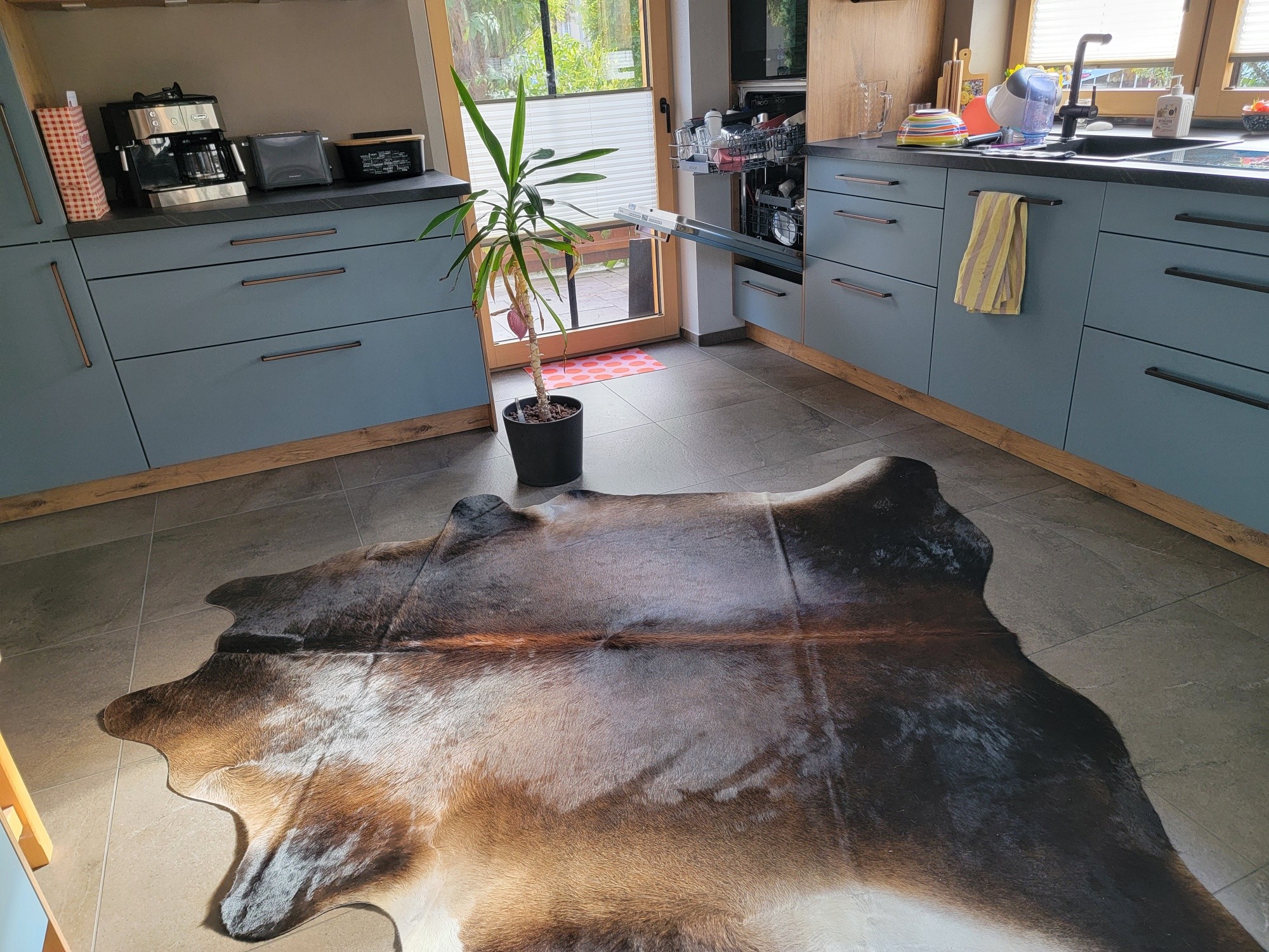 Peau de vache brun foncé sur un sol carrelé dans une cuisine aux meubles bleus