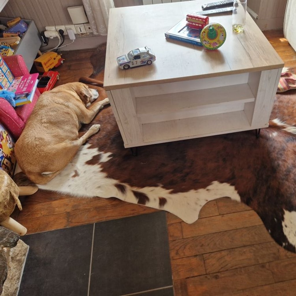 Peau de vache brune et blanche sous une table basse blanche, avec un chien couché sur la peau.